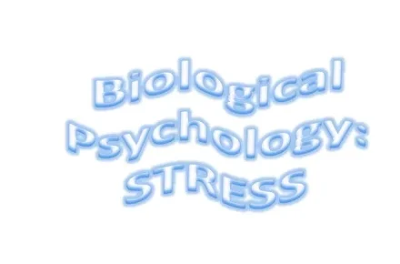 مقاله ای جامع در مورد زیست شناسی اضطراب (پارت اول)