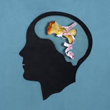 بهبود مغز پس از اختلال خوردن: آیا مغز پس از یک اختلال خوردن بهبود می یابد؟ مشخص نیست که آیا مغز بعد از یک اختلال خوردن به طور کامل بهبود می آید؟