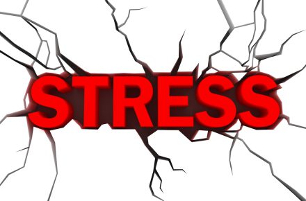 آیا اضطراب در یک خانواده مسری است و استرس یکی از اعضا می تواند بر سایر اعضای خانواده اثر بگذارد؟